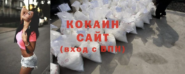 твердый Алексин