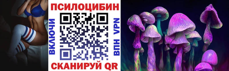 купить наркотик  Сасово  Псилоцибиновые грибы MAGIC MUSHROOMS 